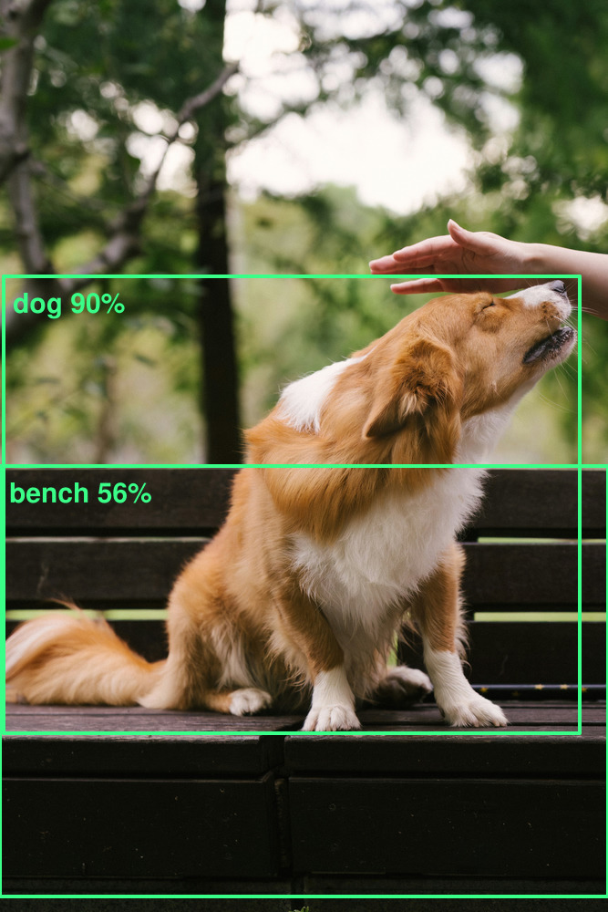 The same photograph with two green labelled boxes drawn over it by the editor itself: dog at 90 per cent around the animal, bench at 56 per cent around the seat below.
